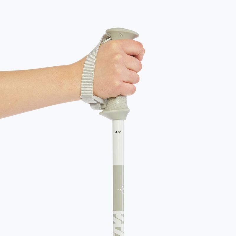 Salomon Polar Access ski poles white 6