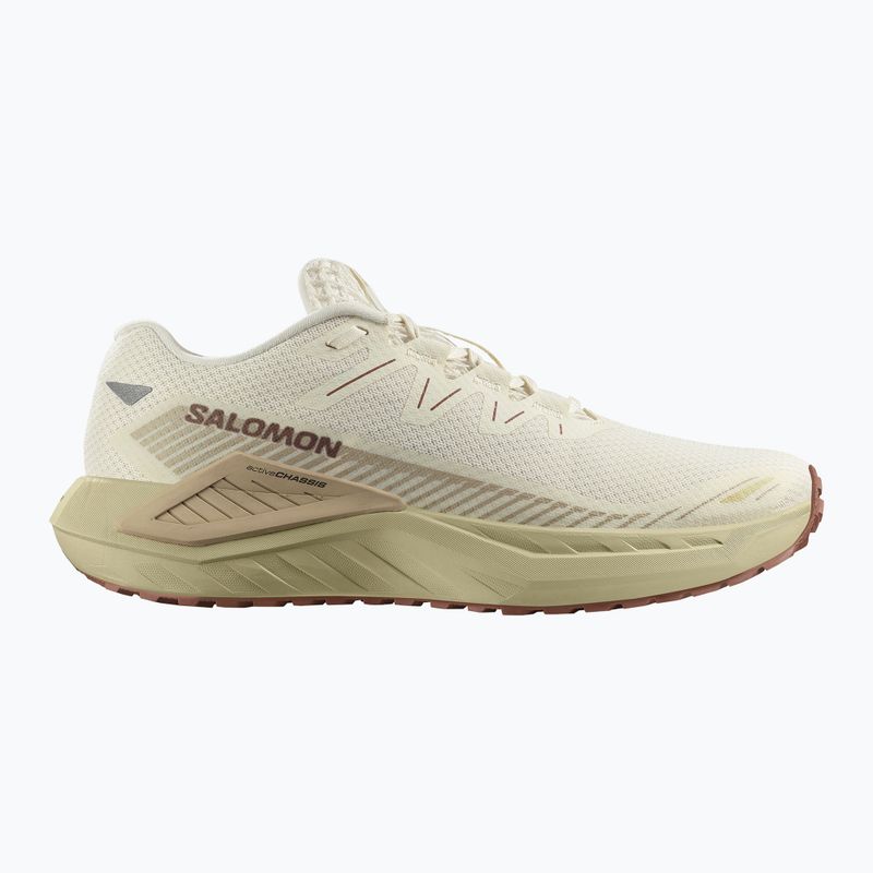 Men's running shoes Salomon Thundercross asphalt/sharkskin/spray 8