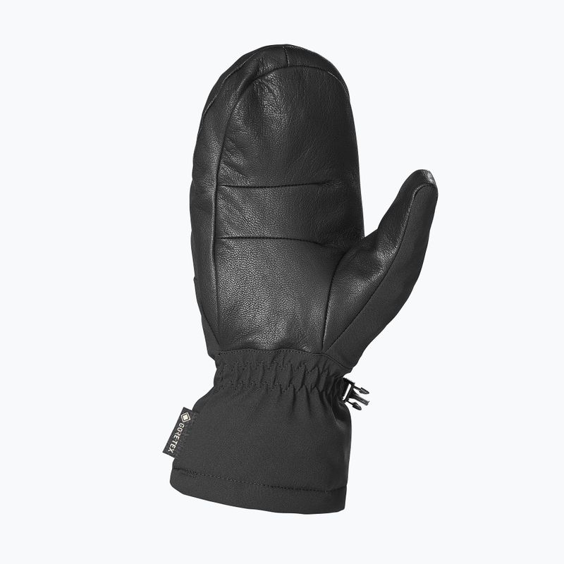 Ski gloves Salomon Propoeller GTX deep black 9