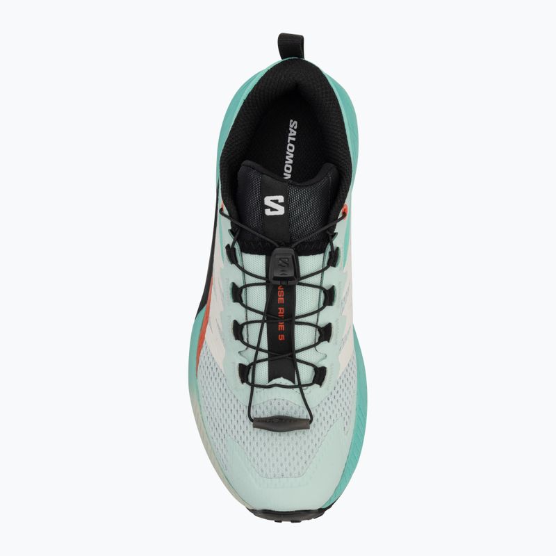 Women's running shoes Salomon Sense Ride 5 bay/black/cherry tomato 5