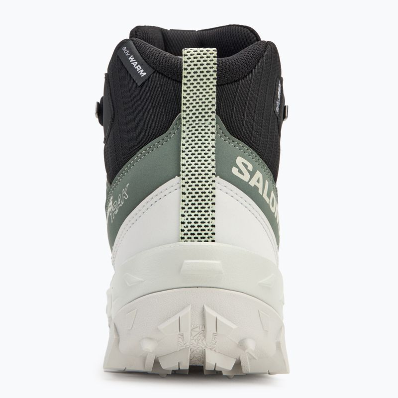 Salomon Crosstrak WP women's trekking boots agave green/black/can ary green 6