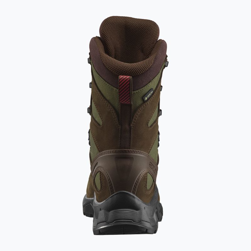 Hiking boots Salomon Quest Tracker High GTX earth brown/green 11