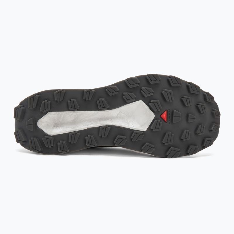 Men's running shoes Salomon Vision vanilla ice/lunar/rock/black 4