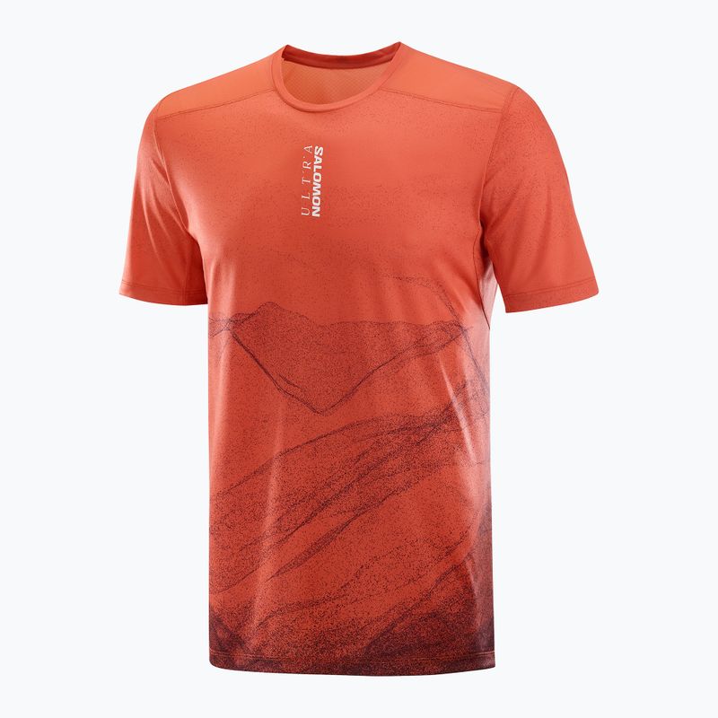 Men's running shirt Salomon S/Lab Ultra Tee Aop burnt sienna 4