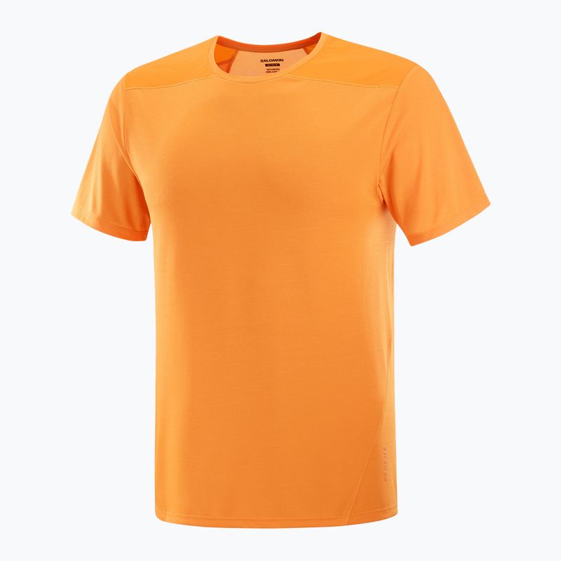 Men's T-shirt Salomon Outline Tee turmeric 4