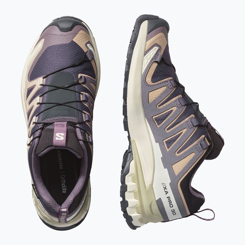 Women's running shoes Salomon XA Pro 3D V9 GTX nine iron/oxford tan 3