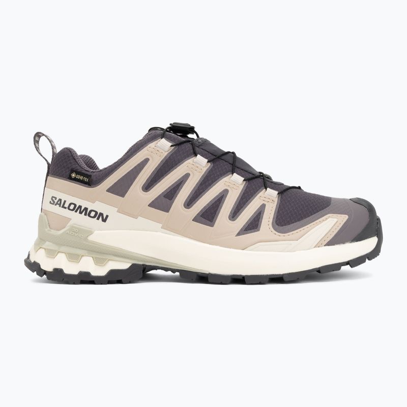 Women's running shoes Salomon XA Pro 3D V9 GTX nine iron/oxford tan 2
