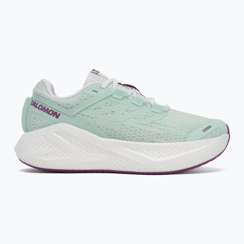 Women's running shoes Salomon Aero Glide 3 bay/white/wilowherb 2
