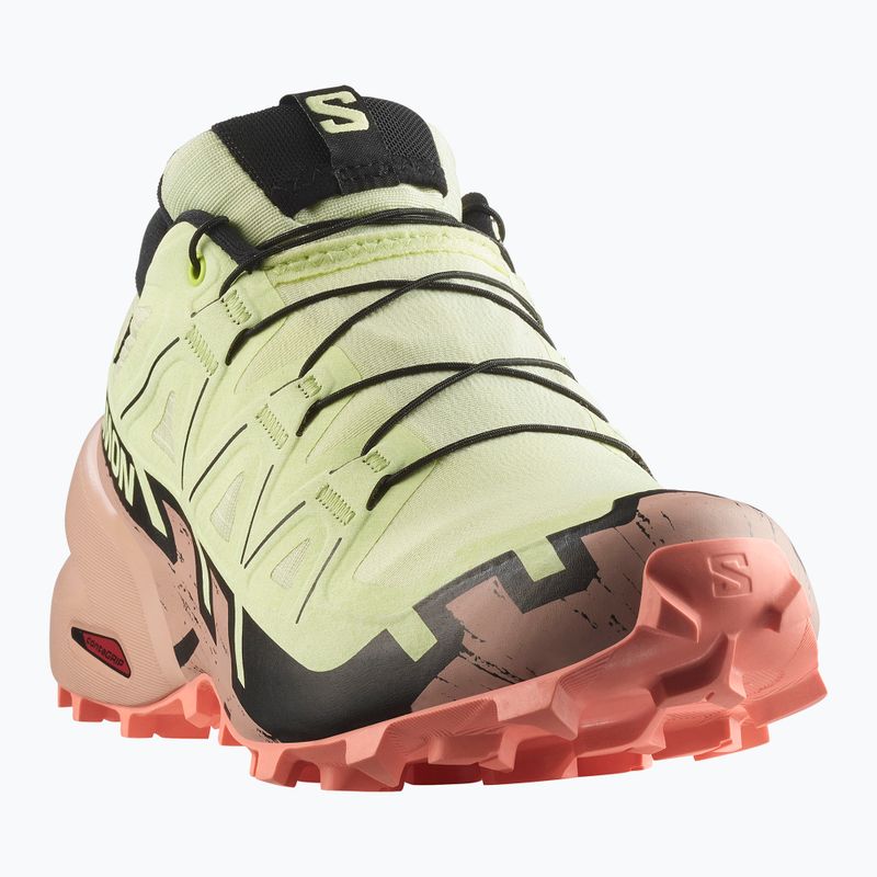 Women's running shoes Salomon Speedcross 6 GTX lime cream/mahogany rose/black
