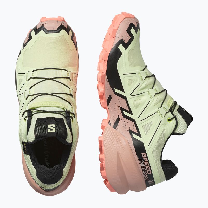 Women's running shoes Salomon Speedcross 6 GTX lime cream/mahogany rose/black 6