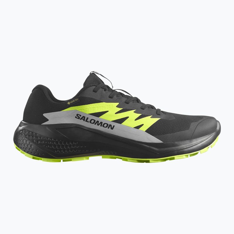 Men's running shoes Salomon Alphaglide GTX black/alloy/sharp green