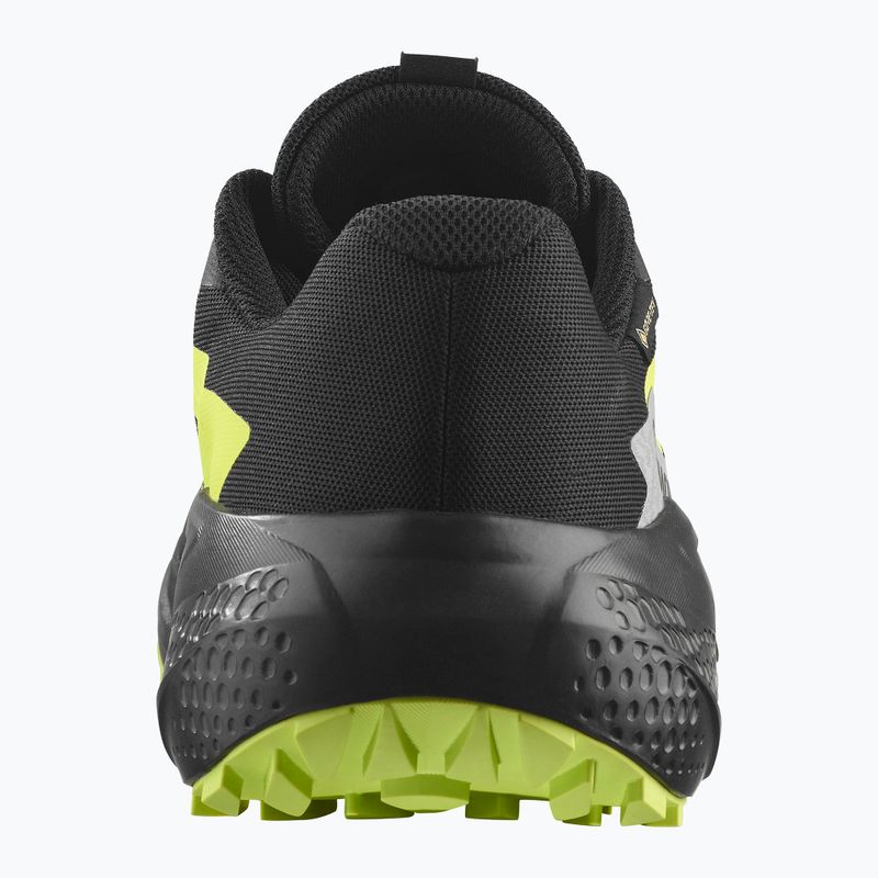 Men's running shoes Salomon Alphaglide GTX black/alloy/sharp green 3