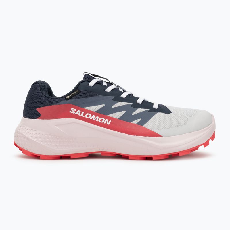 Women's running shoes Salomon Alphaglide GTX lunar rock/blue night/rouge red 2