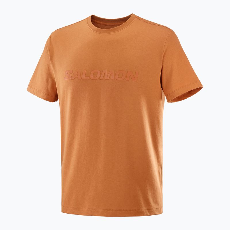 Men's T-shirt Salomon Big Logo Tee sierra 4