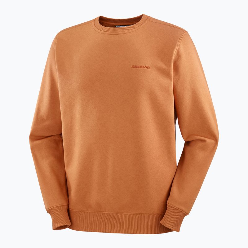 Men's Salomon Logo Crewneck sweatshirt sierra 5