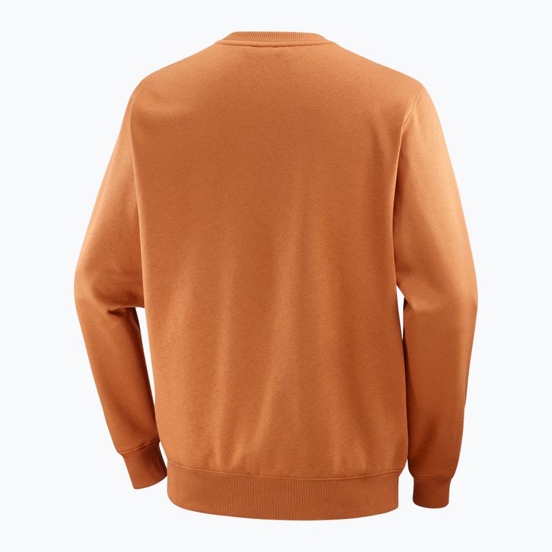 Men's Salomon Logo Crewneck sweatshirt sierra 6