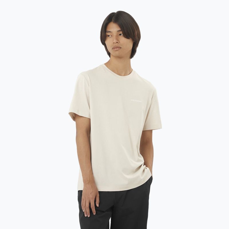 Men's T-shirt Salomon Logo Tee rainy day
