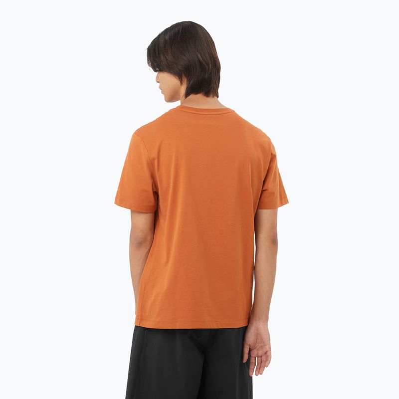 Men's T-shirt Salomon Logo Tee sierra 2