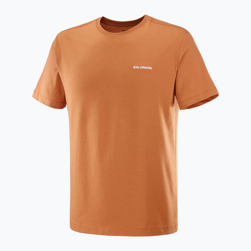 Men's T-shirt Salomon Logo Tee sierra 4