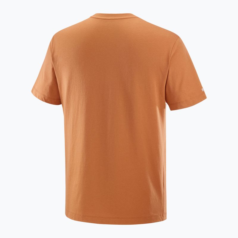 Men's T-shirt Salomon Logo Tee sierra 5