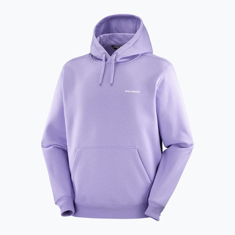Men's sweatshirt Salomon Logo Hoodie violet tulip 3