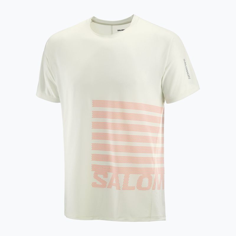 Men's running T-shirt Salomon Sense Aero Tee GFX icicle/neon flame 4