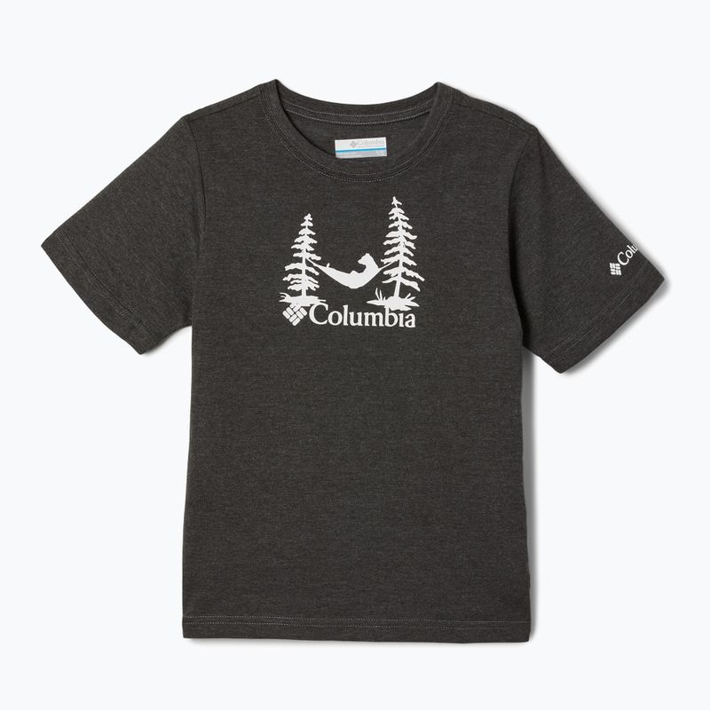 Columbia Valley Creek Graphic men's trekking shirt grey 1989781012