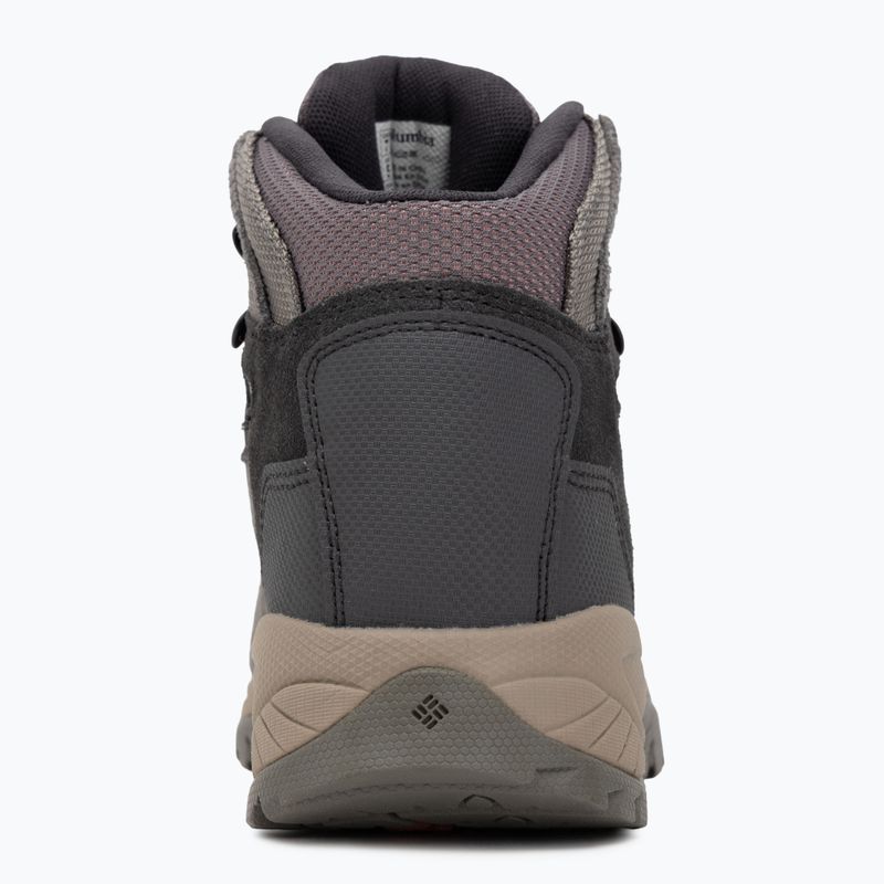 Women's trekking boots Columbia Newton Ridge Plus Wp Amped stratus/canyon rose 6