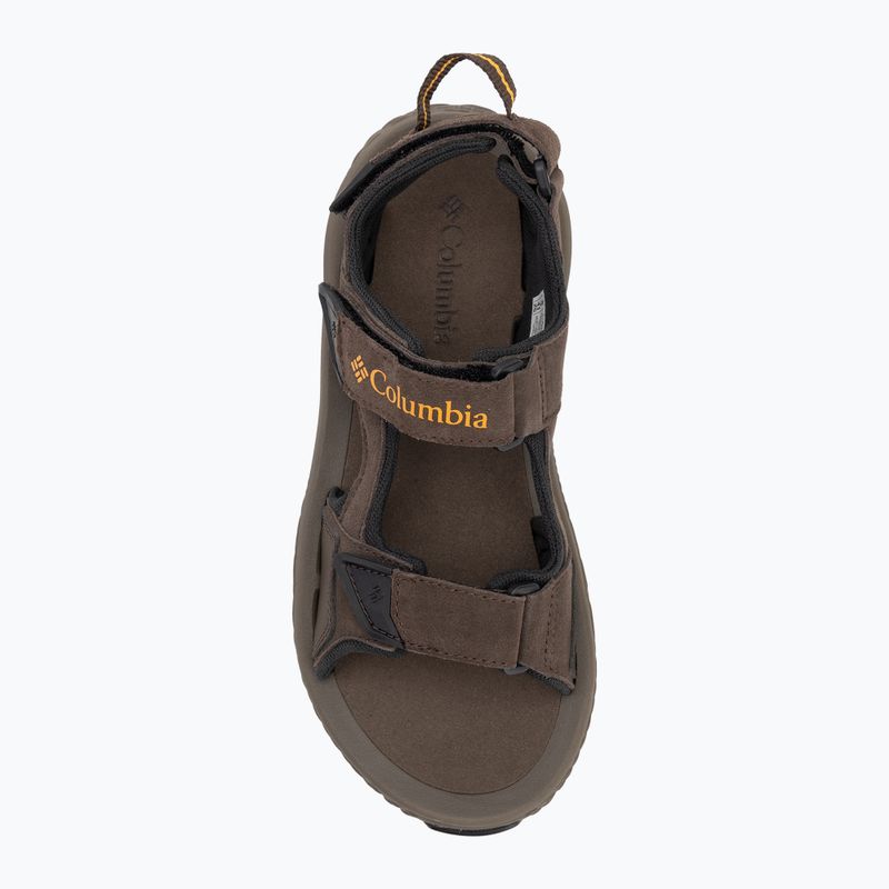 Men's sandals Columbia Konos Hiker 3-Strap cordovan/mud 5