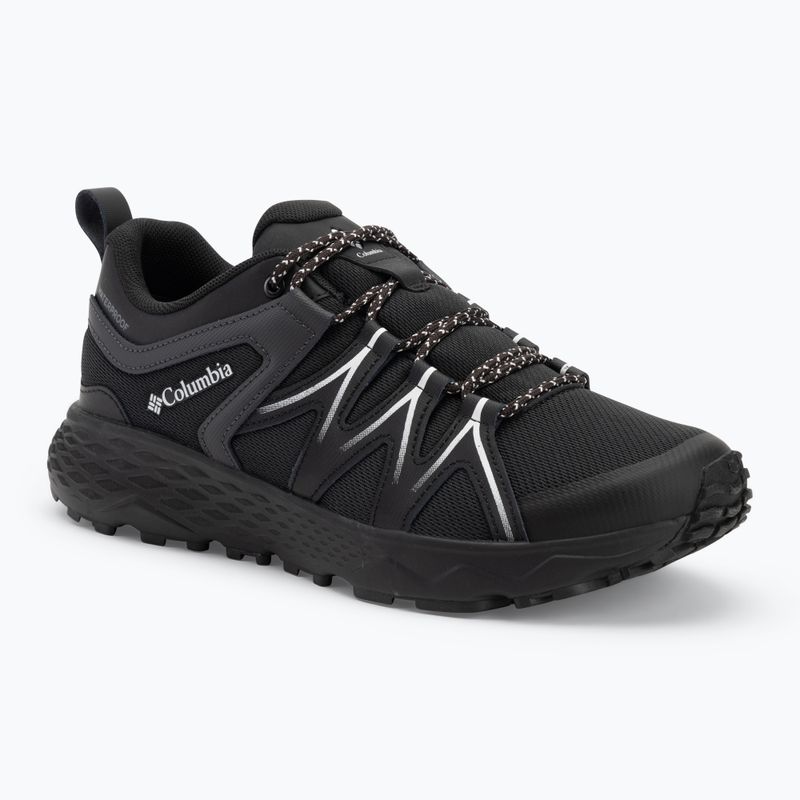 Men's hiking boots Columbia Peakfreak Roam Waterproof black/silver grey