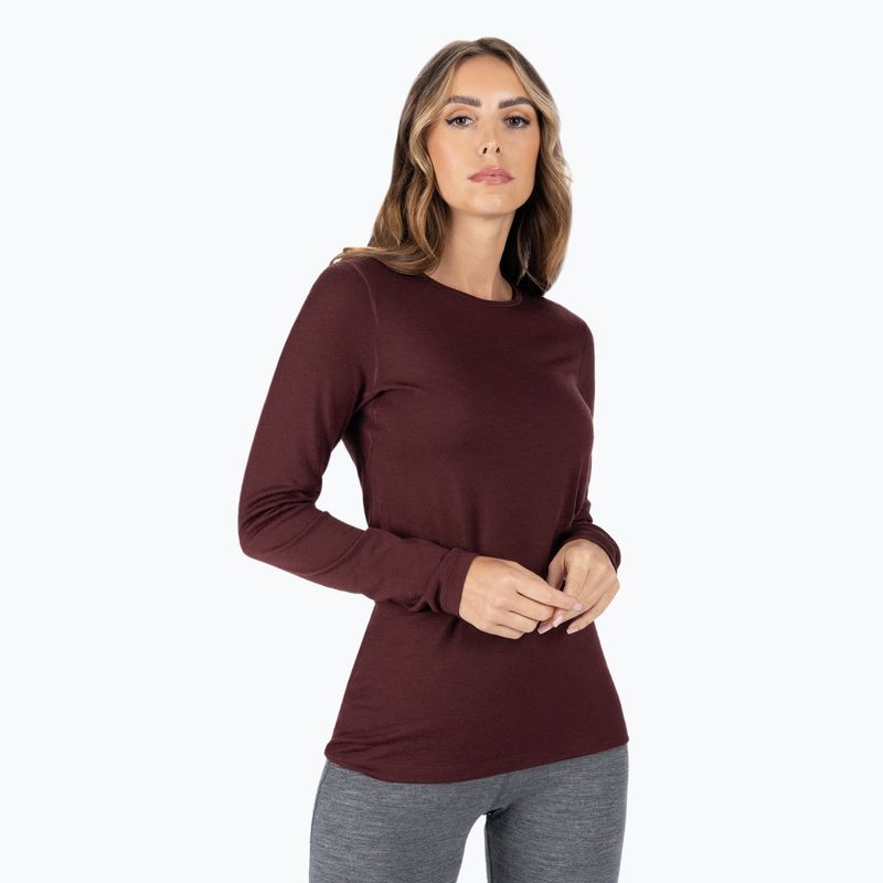 Women's thermal T-shirt icebreaker 200 Oasis brownIB1043750641