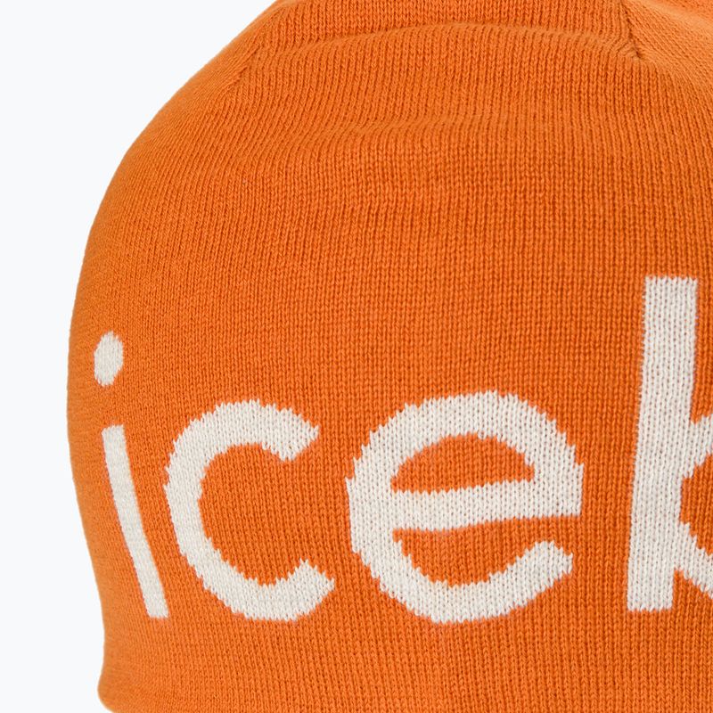 Icebreaker Merino winter beanie earth/ecru hthr 4