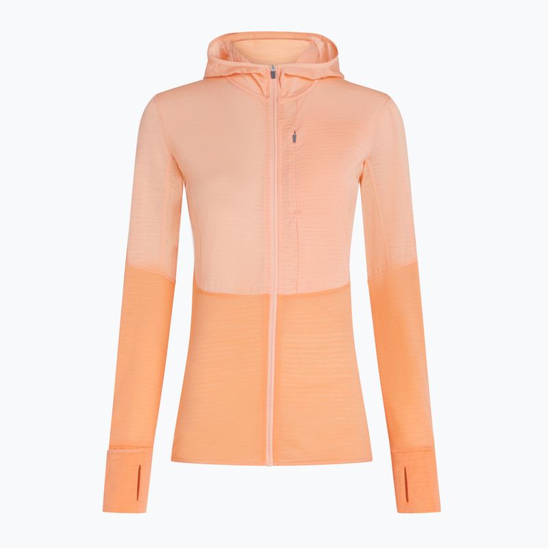 Icebreaker women's trekking sweatshirt Merino 200 Realfleece Descender Zip Hoodie sunstone/feldspar 12