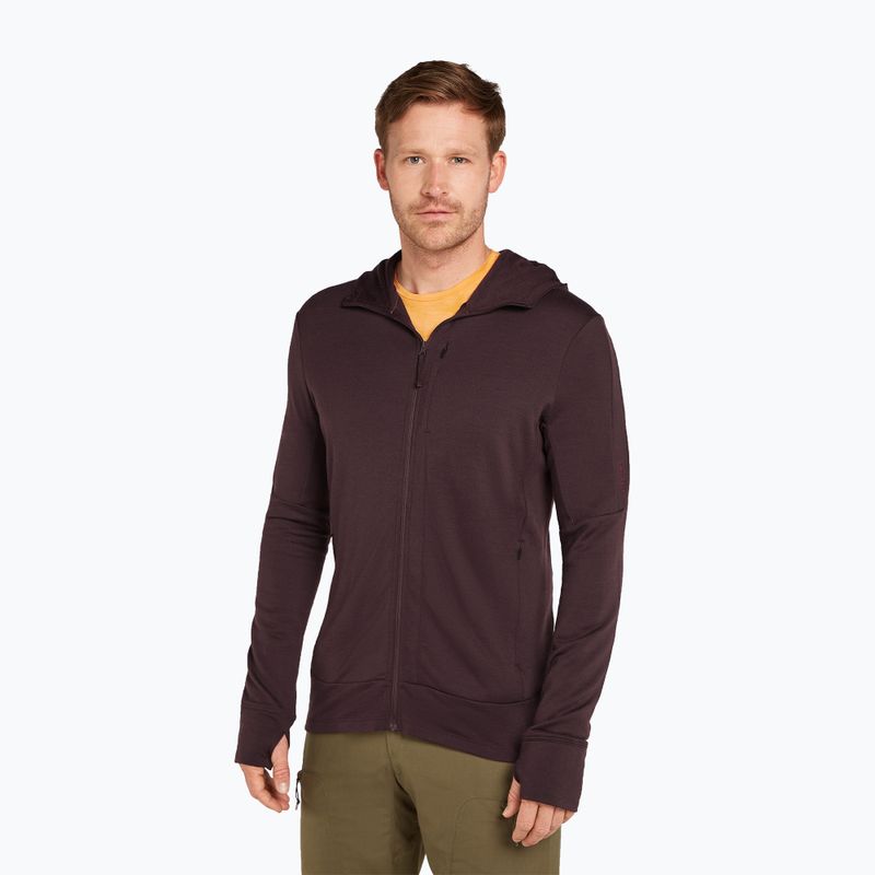 Men's Icebreaker Merino 260 Quantum IV Zip Hoodie bittersweet