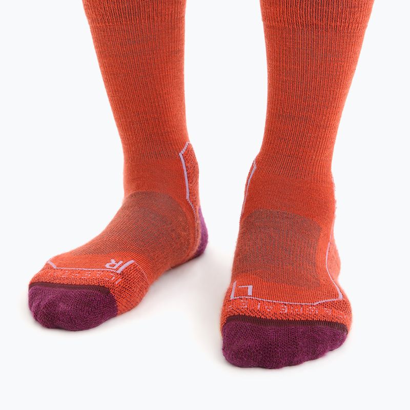 Icebreaker women's hiking socks Hike+ Light Crew red 105099 3
