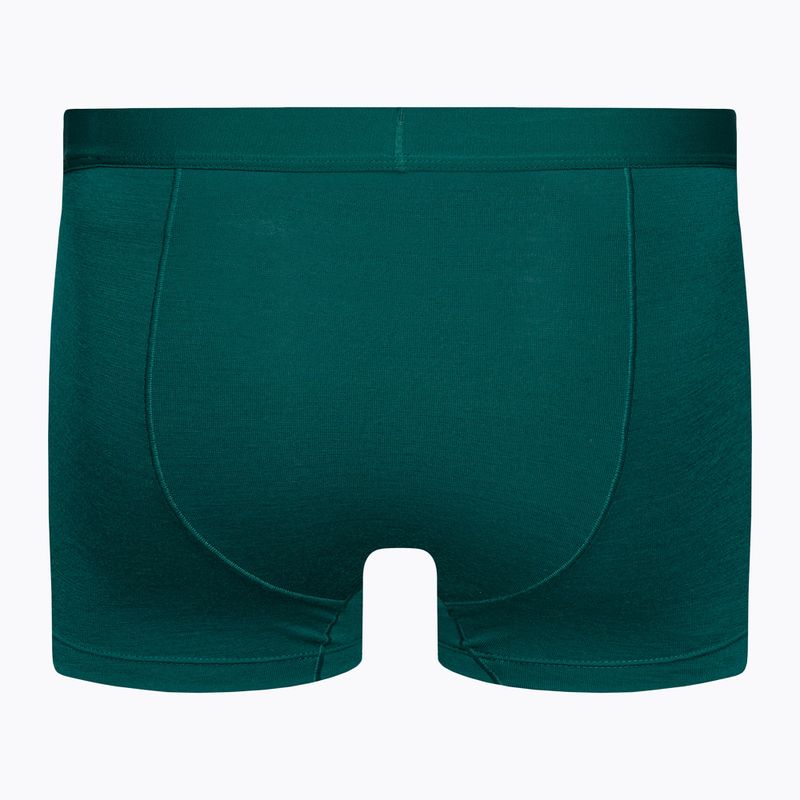 Men's thermal boxer shorts icebreaker Anatomica Cool-Lite green 105223 2