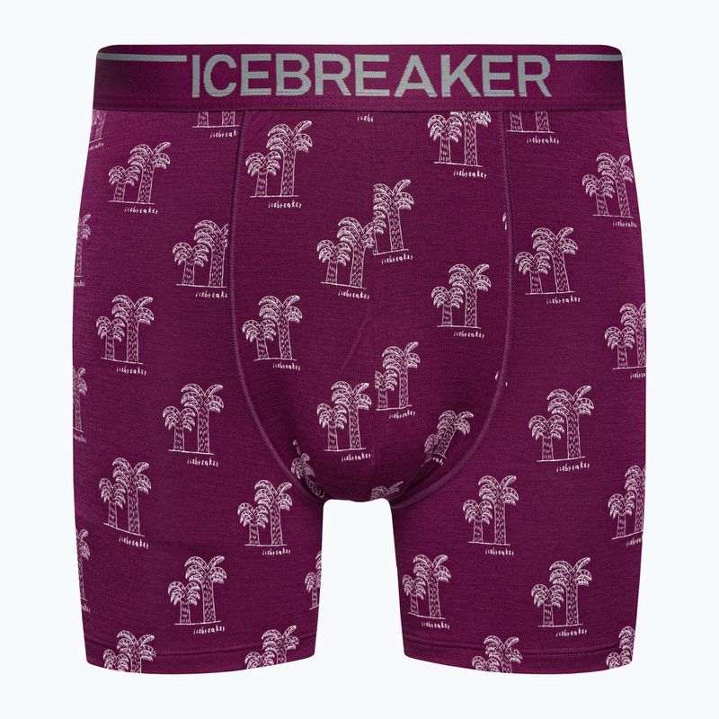 Men's thermal boxer shorts icebreaker Anatomica Go Berry 103029