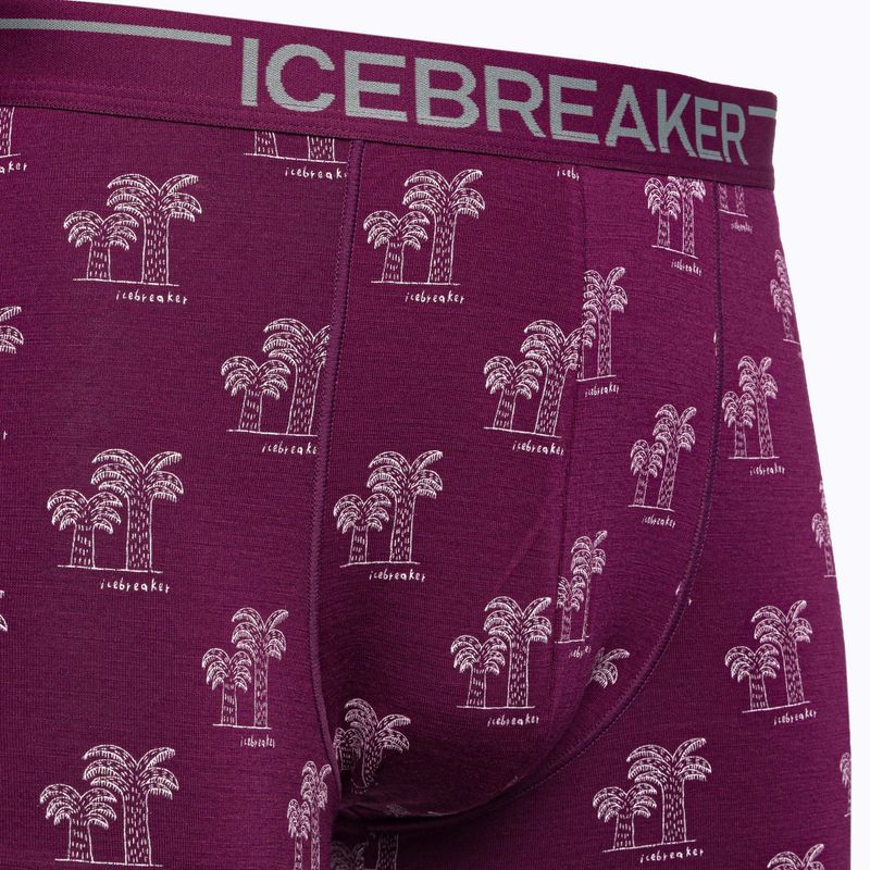 Men's thermal boxer shorts icebreaker Anatomica Go Berry 103029 3