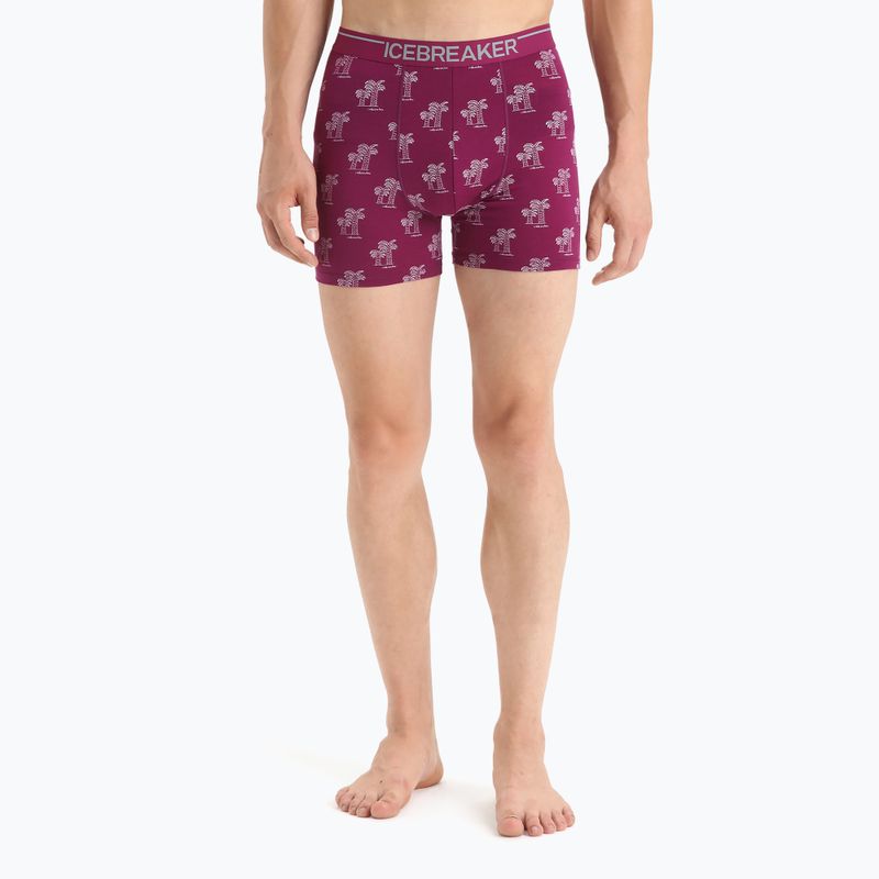 Men's thermal boxer shorts icebreaker Anatomica Go Berry 103029 4