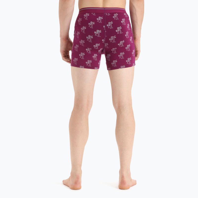 Men's thermal boxer shorts icebreaker Anatomica Go Berry 103029 6