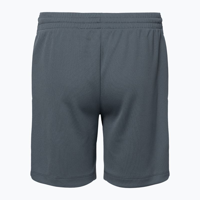 Nike Dri-Fit Multi smoke grey/white children's shorts 2