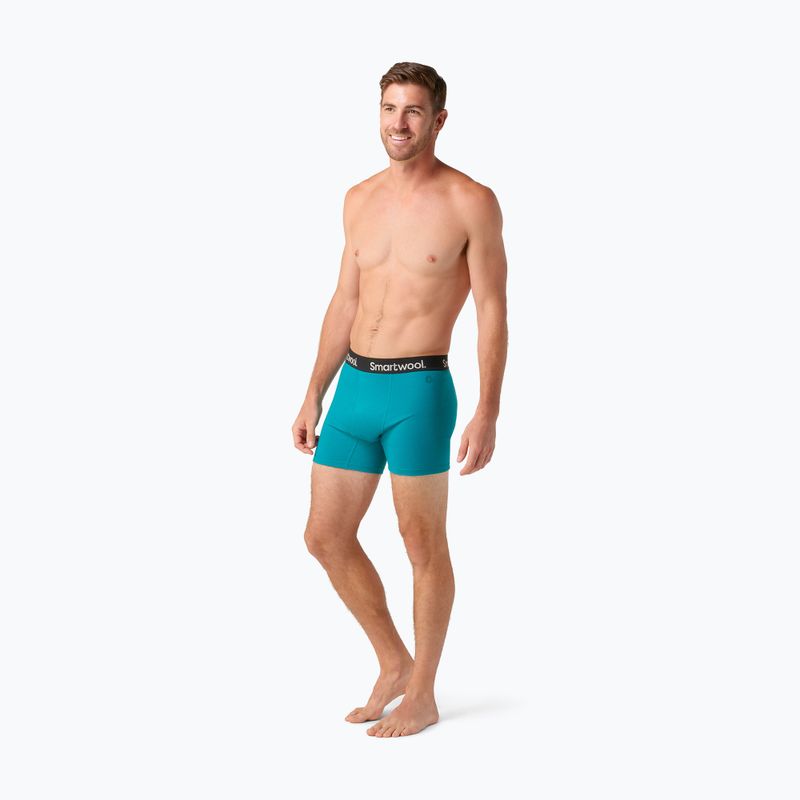 Men's Smartwool Brief Boxed deep lake thermal boxers 5