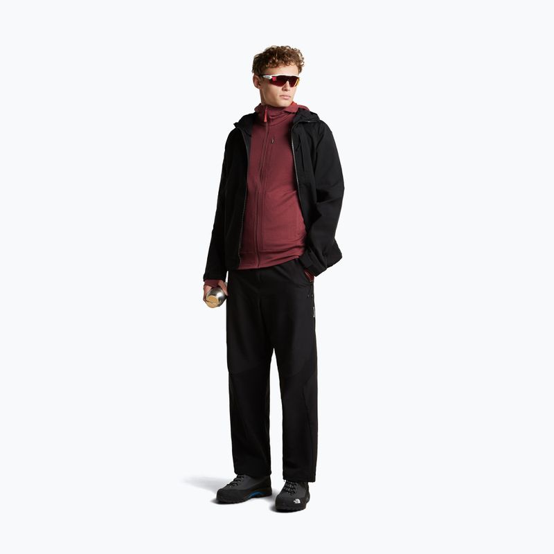 Men's sweatshirt Icebreaker Merino 260 Quantum IV LS Zip Hoodie port/agate 2