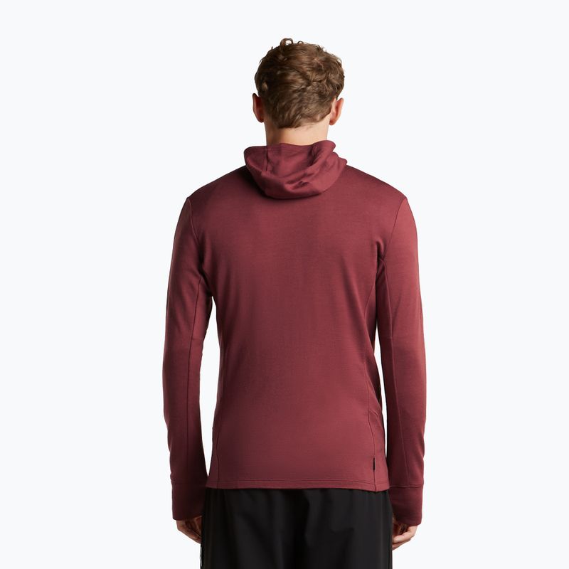 Men's sweatshirt Icebreaker Merino 260 Quantum IV LS Zip Hoodie port/agate 3
