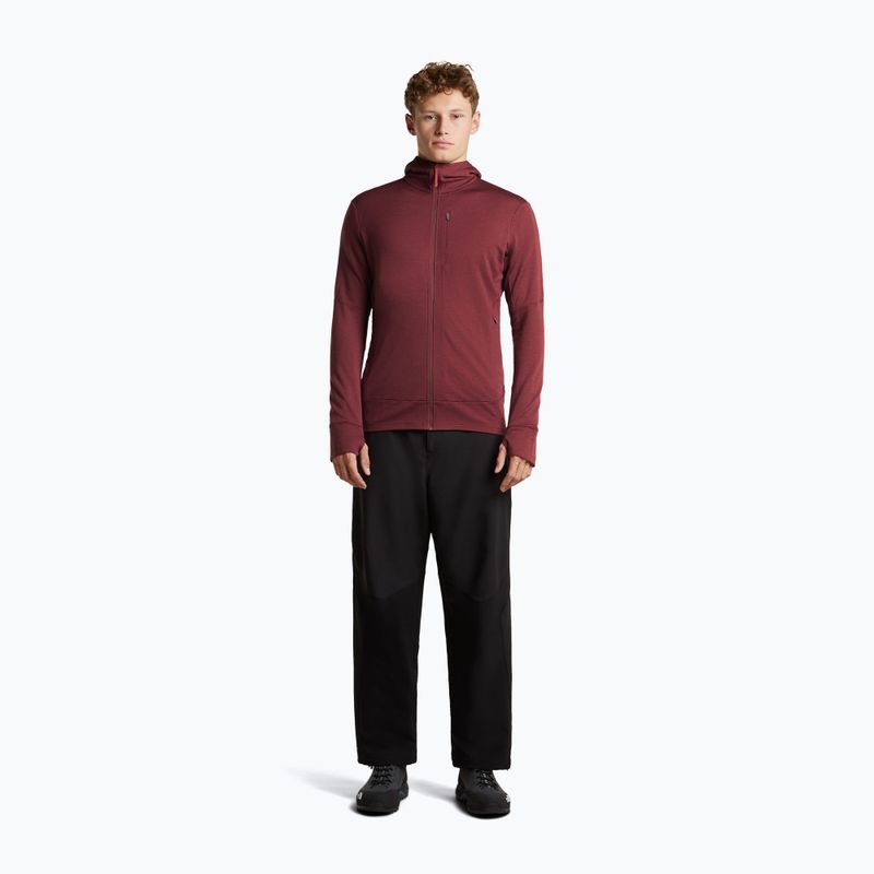 Men's sweatshirt Icebreaker Merino 260 Quantum IV LS Zip Hoodie port/agate 4
