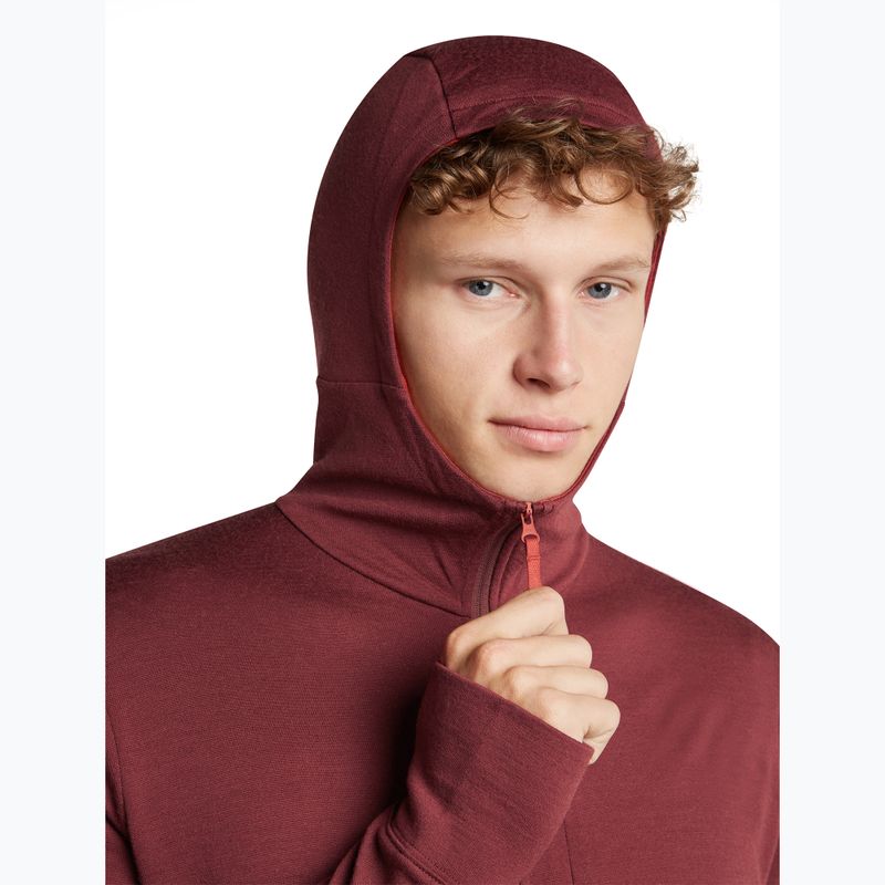 Men's sweatshirt Icebreaker Merino 260 Quantum IV LS Zip Hoodie port/agate 6
