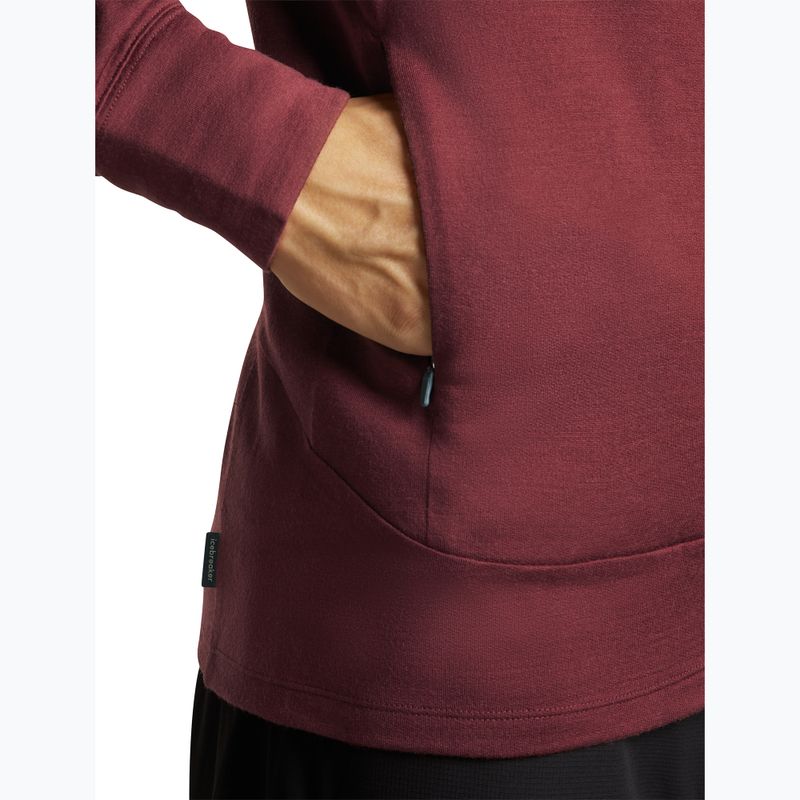 Men's sweatshirt Icebreaker Merino 260 Quantum IV LS Zip Hoodie port/agate 9