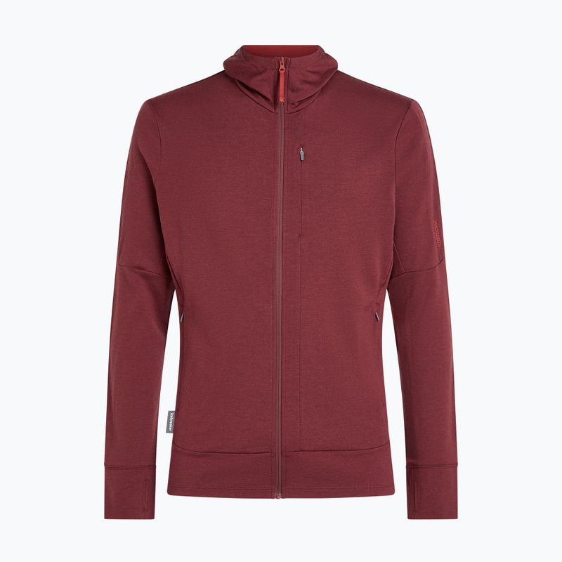 Men's sweatshirt Icebreaker Merino 260 Quantum IV LS Zip Hoodie port/agate 10