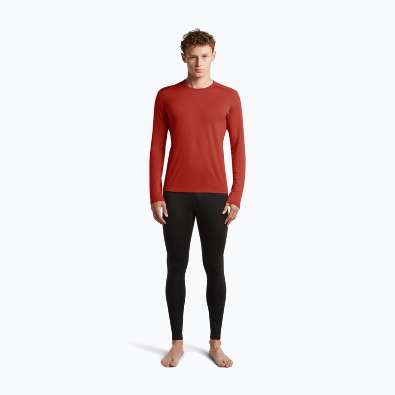 Men's thermal sweatshirt Icebreaker 260 Tech Crewe Agate 4