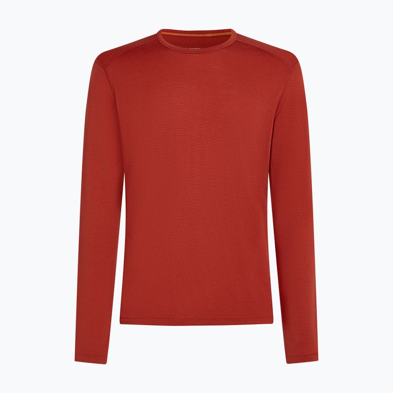 Men's thermal sweatshirt Icebreaker 260 Tech Crewe Agate 6